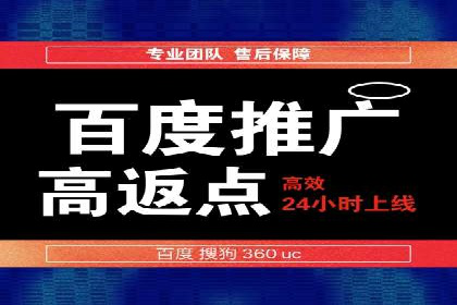 SEM精准广告投放的五大成功案例